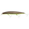  Shoreline Shiner Z Vertice 140 